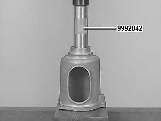 GLL109832
