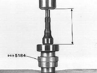 GLL109971
