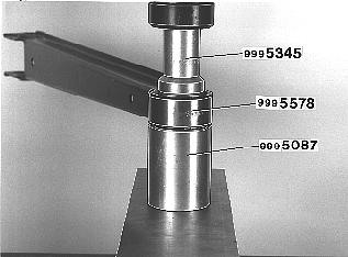 GLL109983