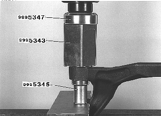 GLL109984