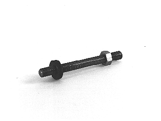 GLL109986