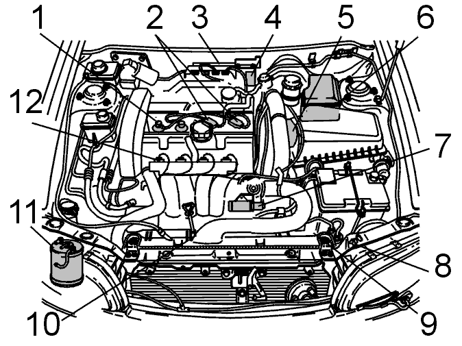 GLL111995