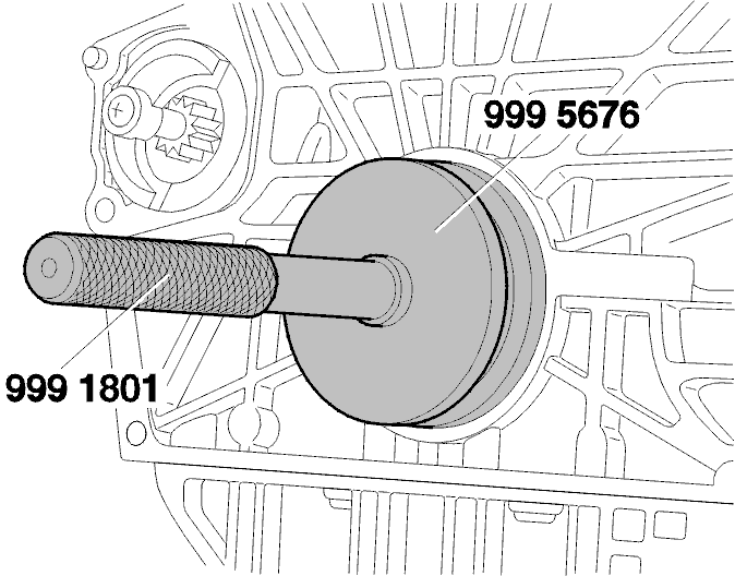 GLL113351