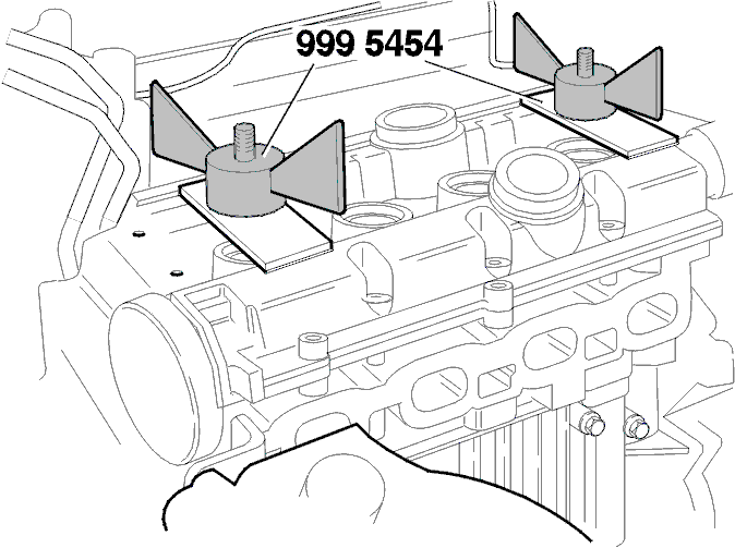 GLL113774