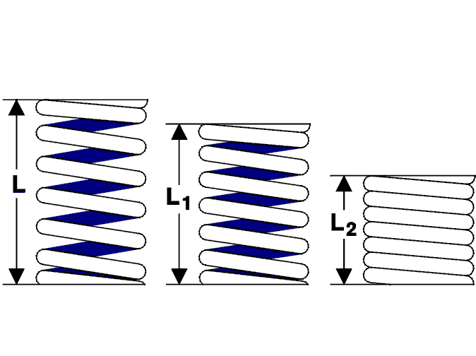 GLL113990