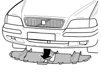 GLL115242