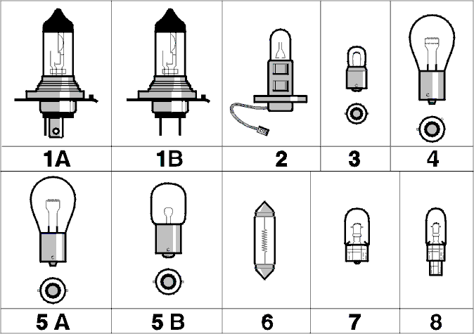GLL115323
