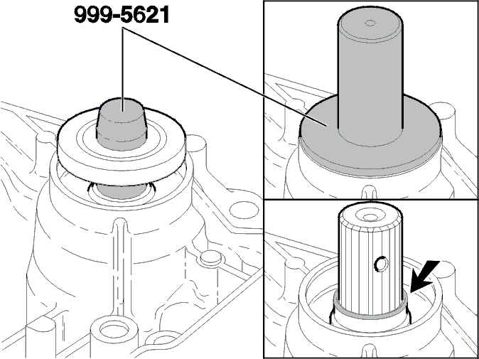 GLL115835