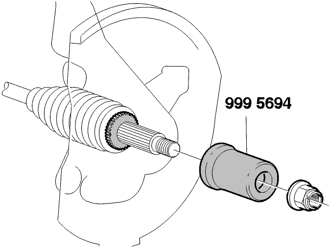 GLL116242