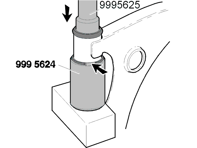 GLL116348