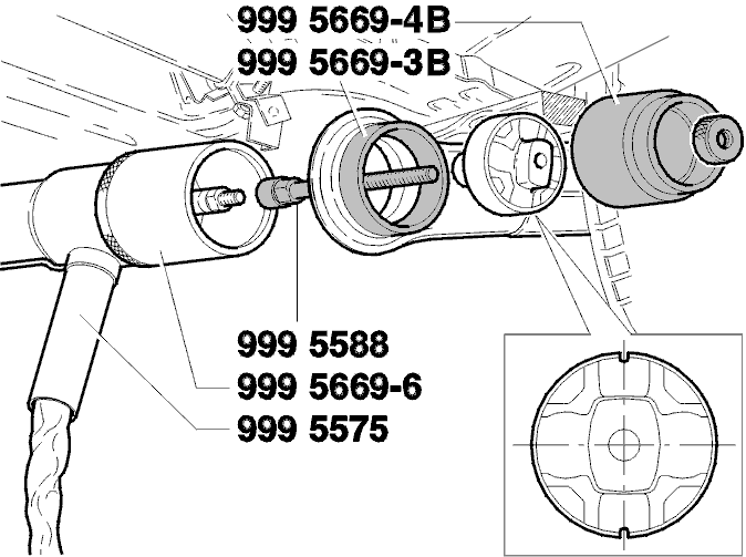 GLL116505