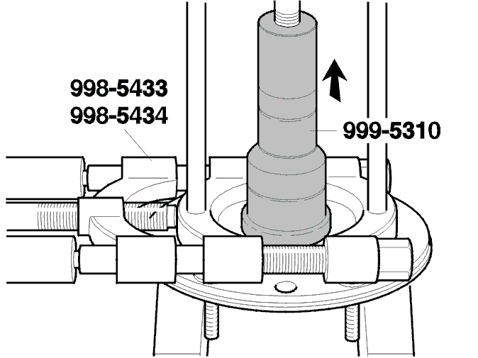 GLL116567