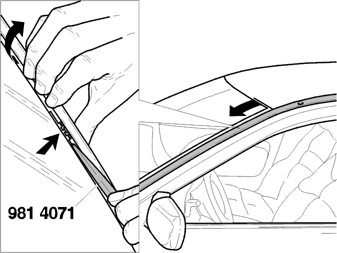 GLL116793