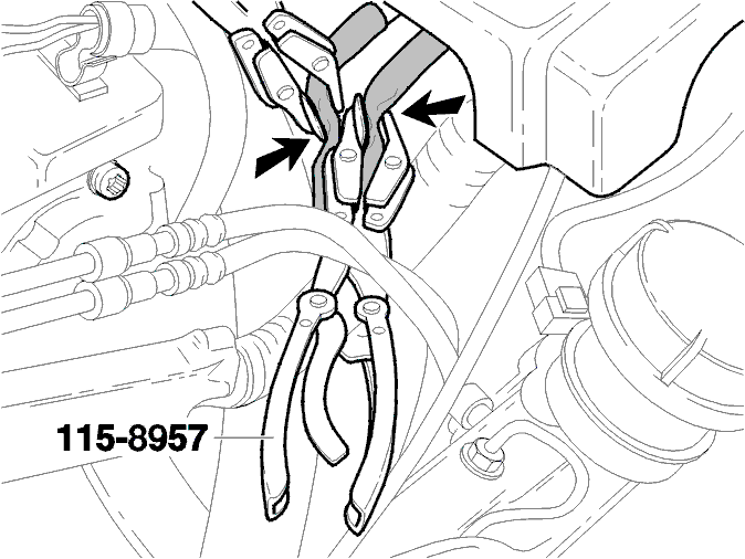 GLL117069