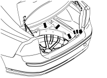 GLL117713