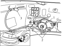 GLL117916