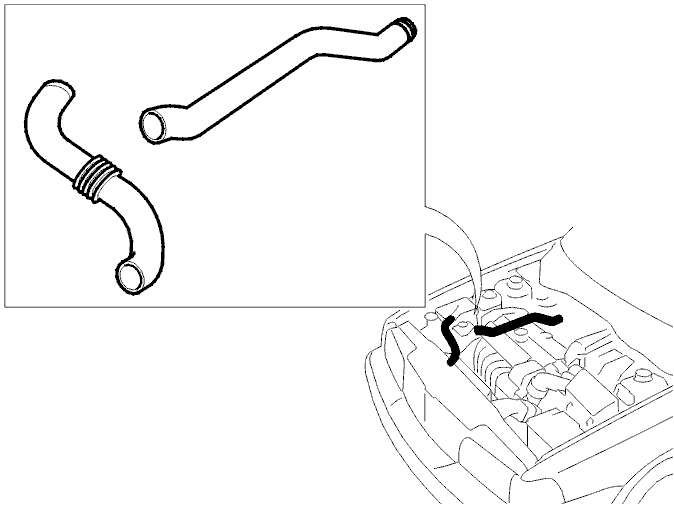 GLL118197