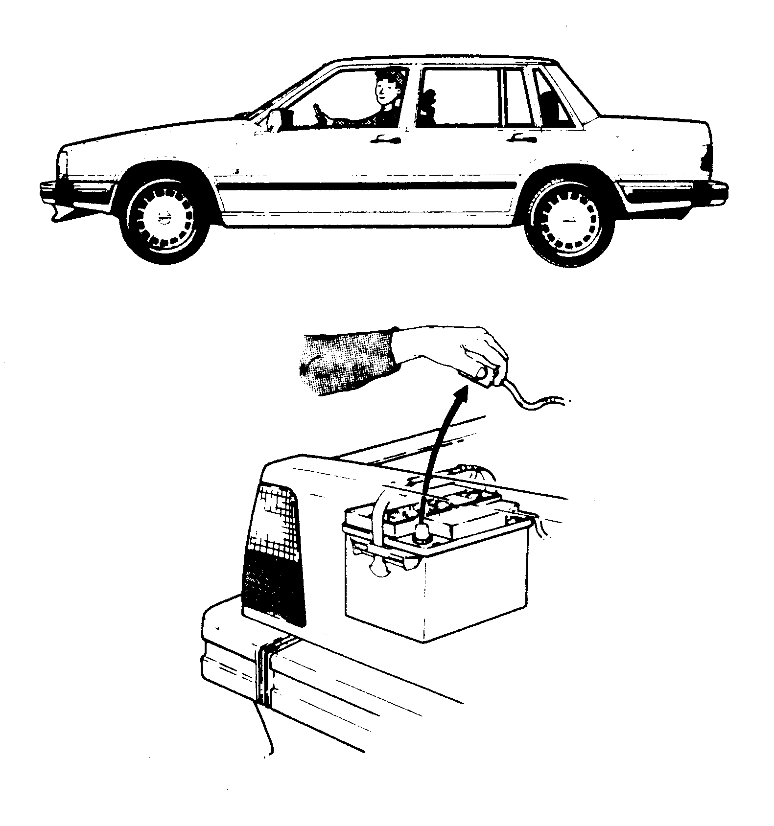 GLL119810