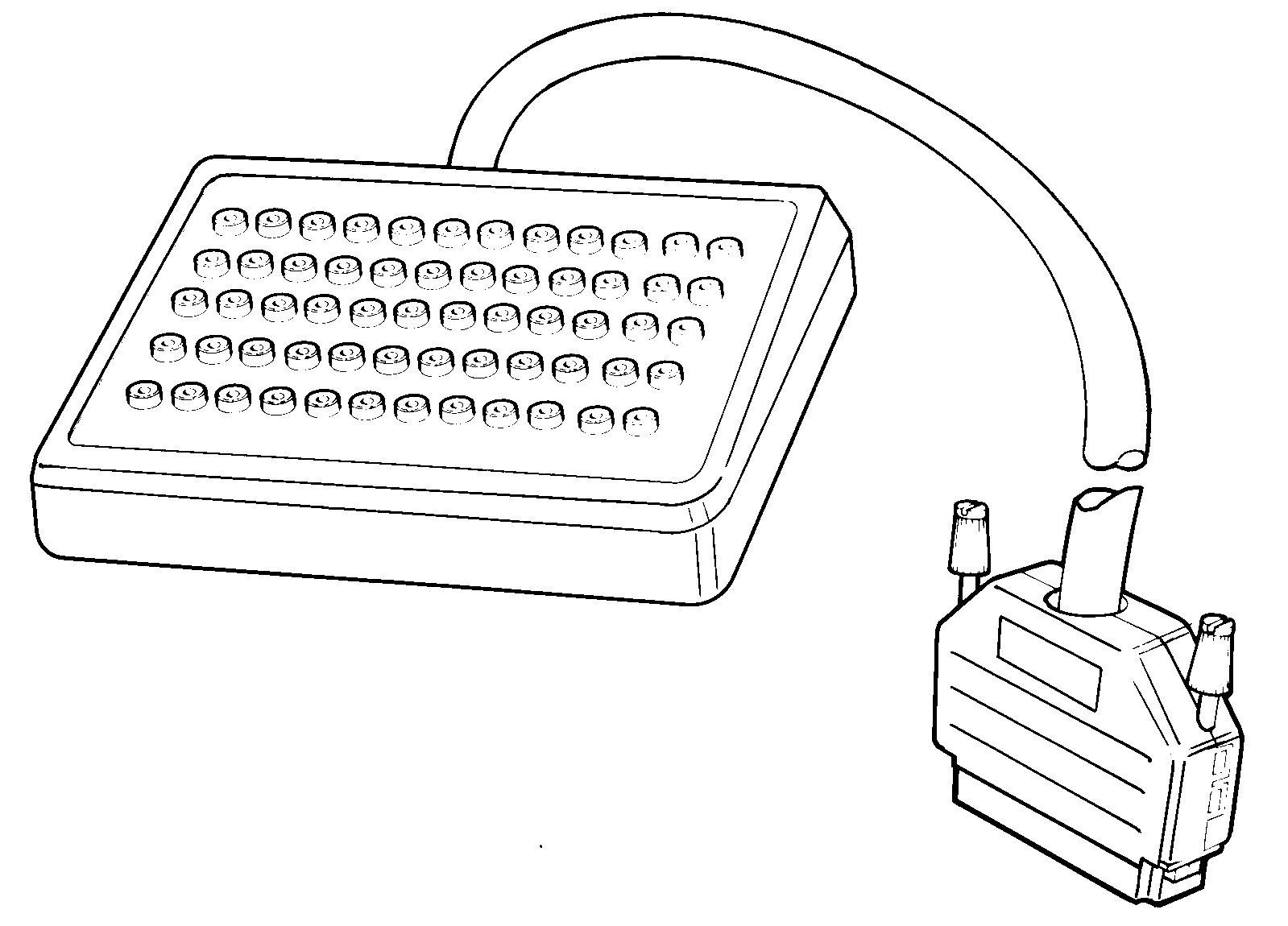 GLL119811