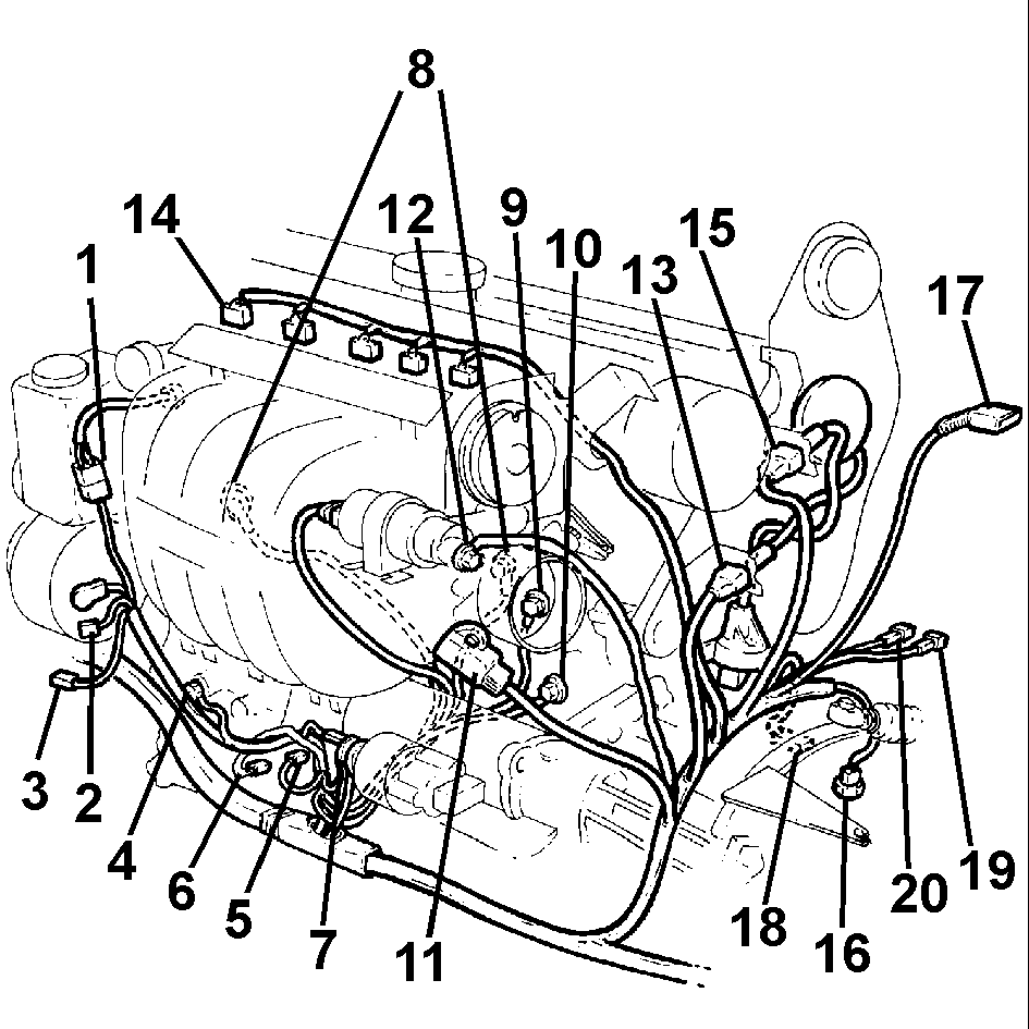 GLL122211