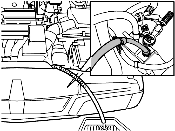 GLL125321