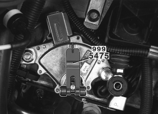 GLL125619