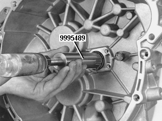 GLL125639