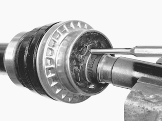 GLL125659