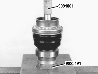 GLL125660