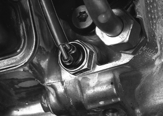 GLL125692