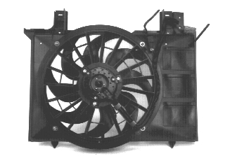 GLL125696