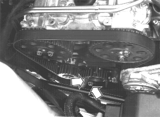 GLL125701
