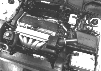 GLL125702