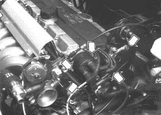 GLL125703