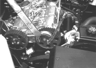 GLL125706