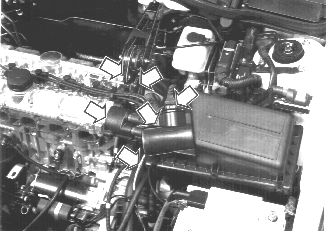 GLL125716