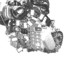 GLL125735