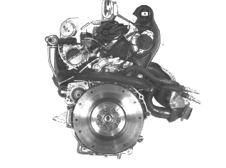 GLL125736