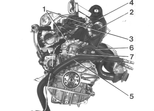 GLL125737