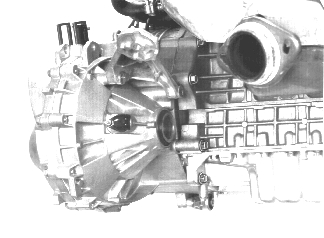 GLL125740