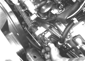 GLL125742