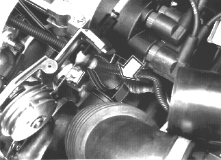GLL125749