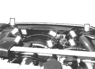 GLL125751