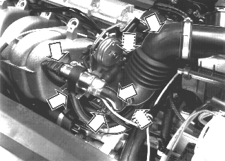 GLL125752