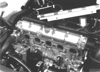 GLL125753