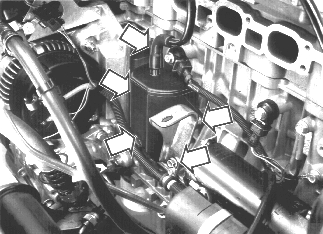 GLL125755