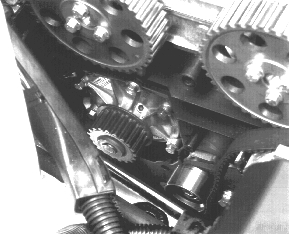 GLL125767