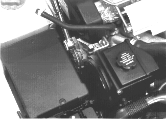 GLL125768