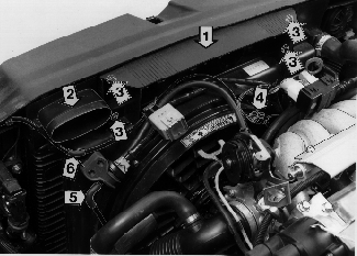 GLL125824