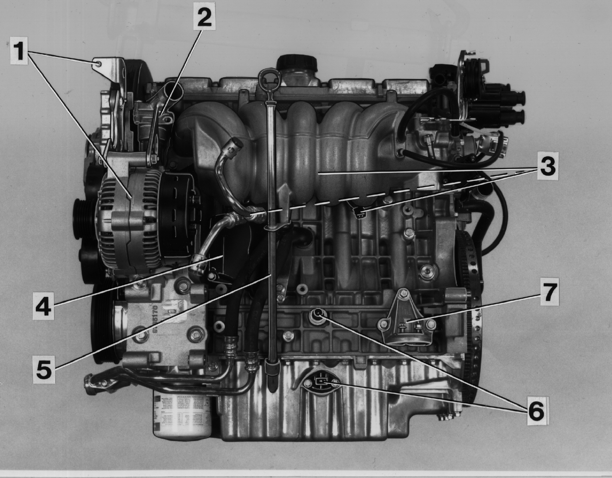 GLL125831